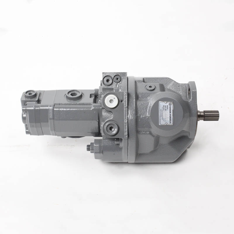 05665 Pump02 05665 HP2D25-G2SP-21.0/11--XR Hydraulic Pump Ass’y (15T & DOUBLE G/P) for Excavator